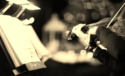 NieR: Orchestra Concert
